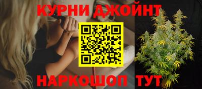 прущие грибы Гусев