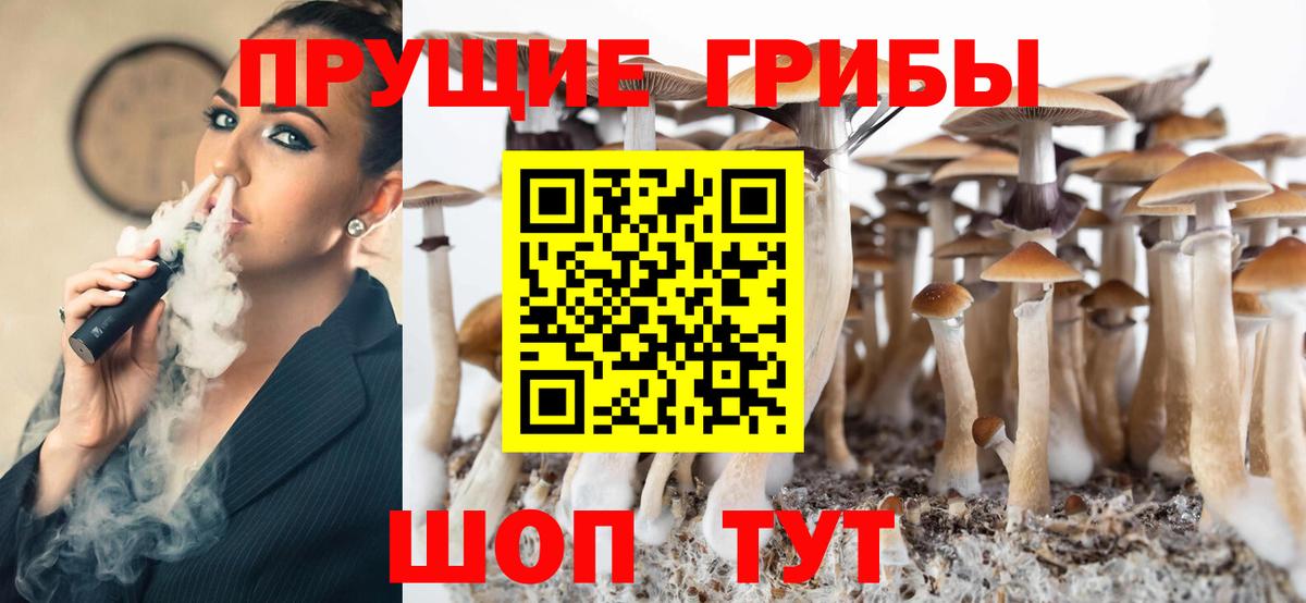 где найти   Псилоцибиновые грибы Magic Shrooms  Вход с VPN  Кунгур 