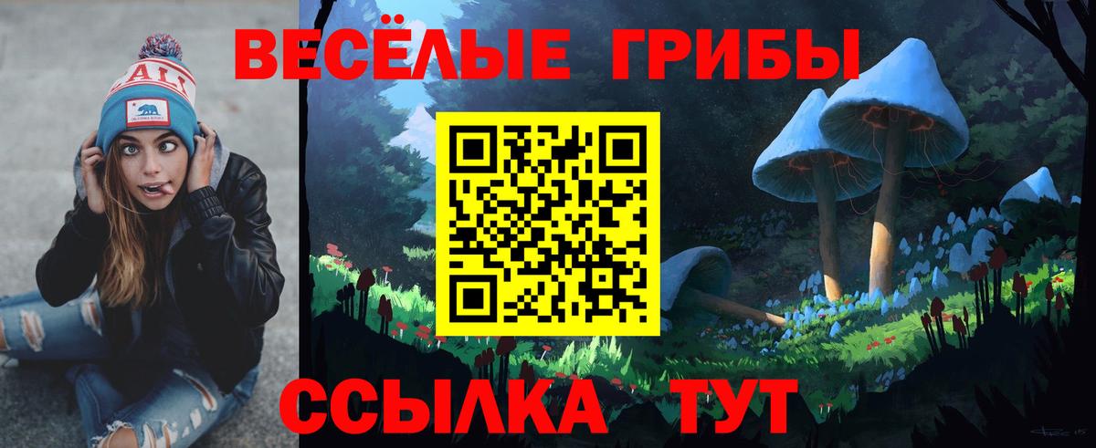 Псилоцибиновые грибы MAGIC MUSHROOMS Кунгур